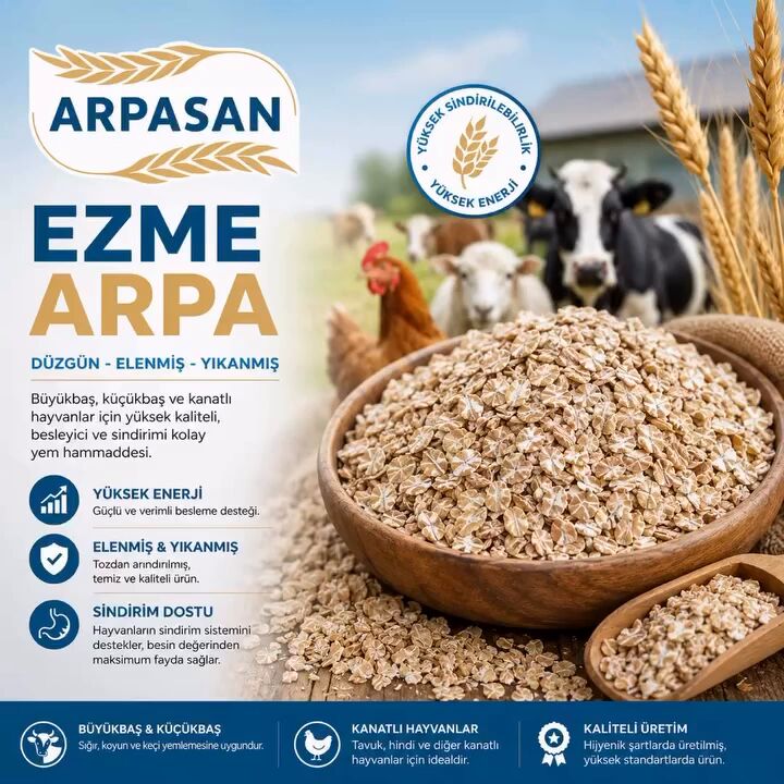Arpasan Ezme Arpa